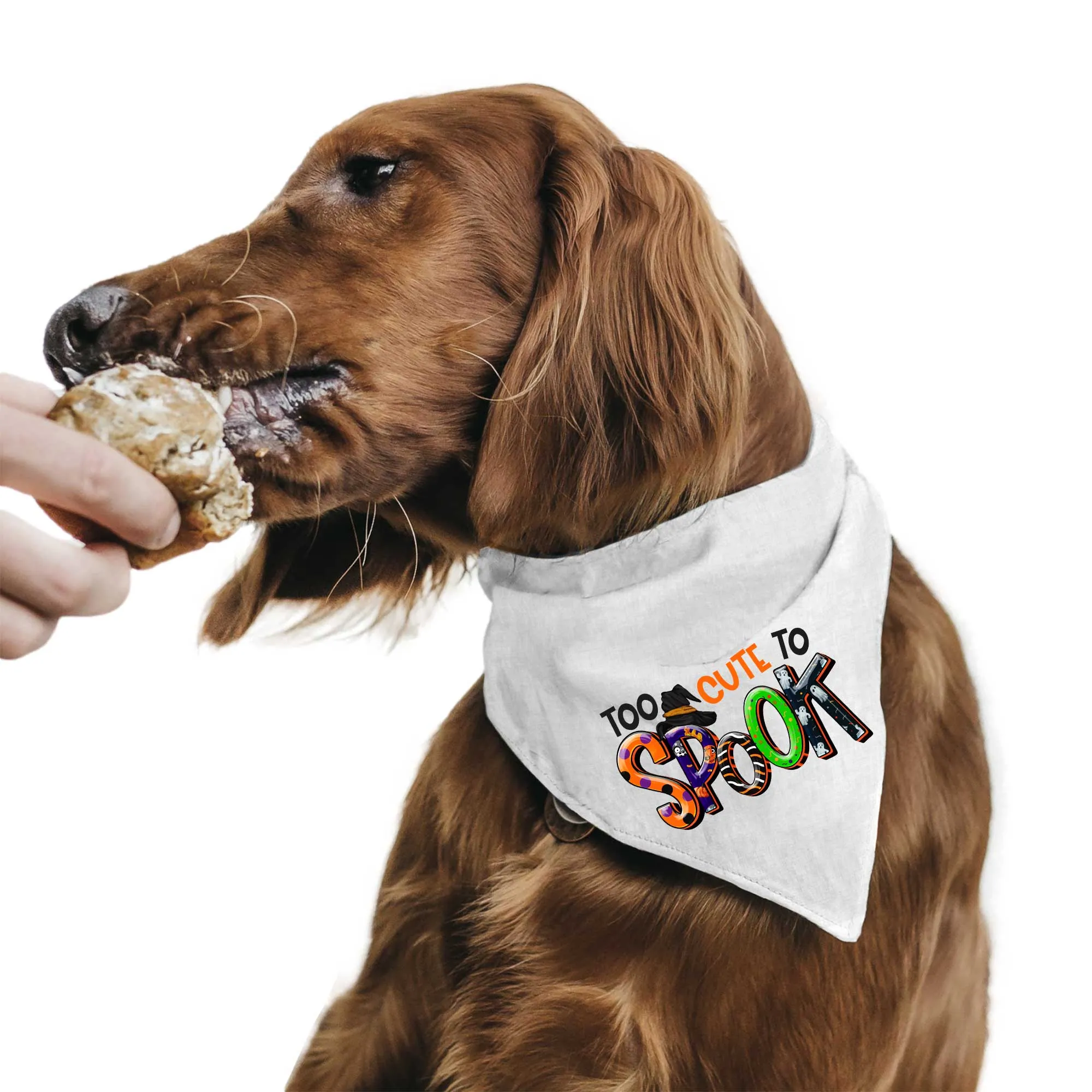 Too Cute To Spook Tie-On Pet Bandana