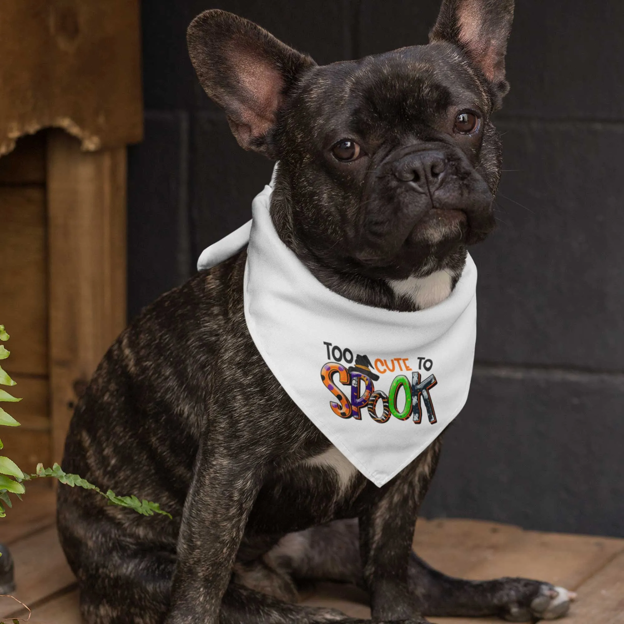 Too Cute To Spook Tie-On Pet Bandana